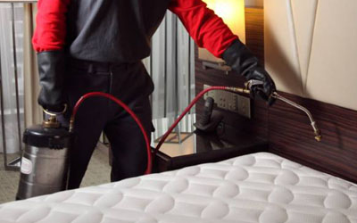 desert-pest-control-bedbug-control-services